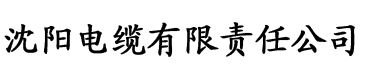 李兵沈思思电缆厂logo